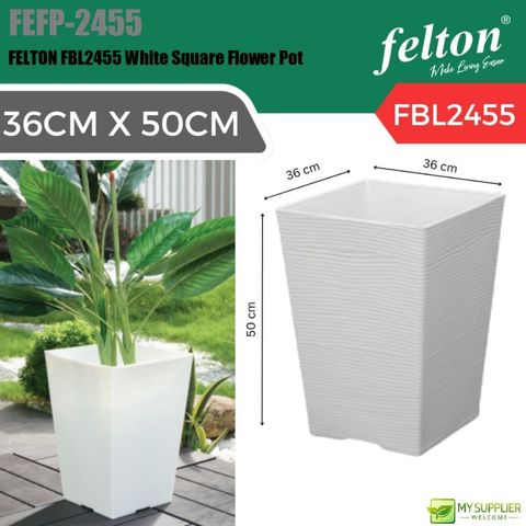 fefp-2455