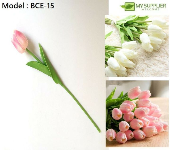 66c03ebedc2b0346705c08c29fece12c