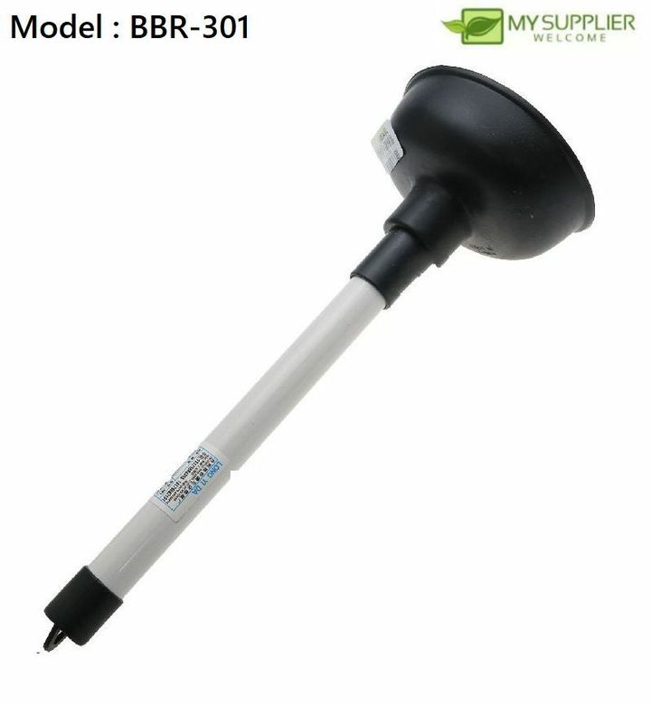 bbr-301
