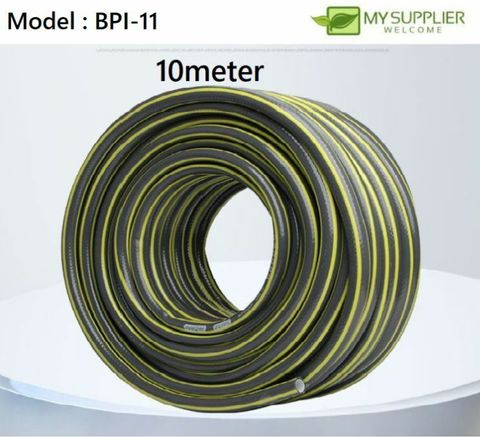 bpi-11