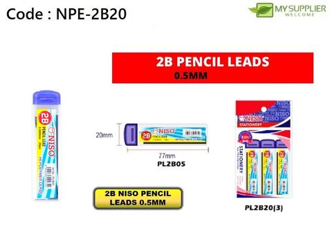 npe-2b20