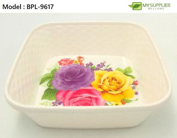 bpl-9617