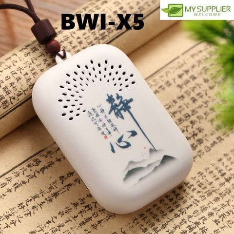 bwi-x5