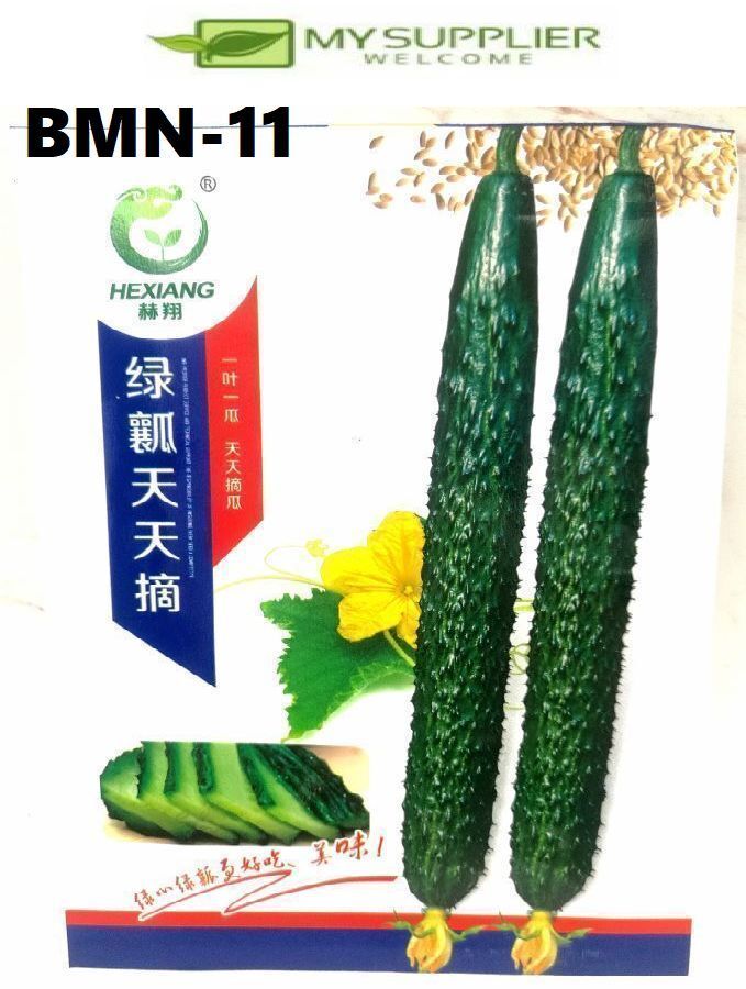 bmn-11