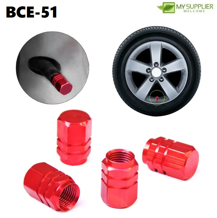 bce-51-1