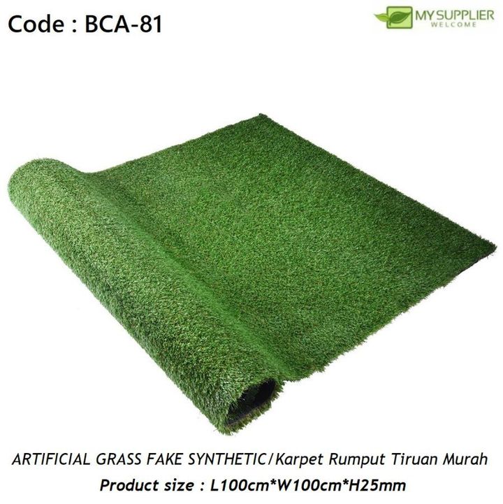 bca-81