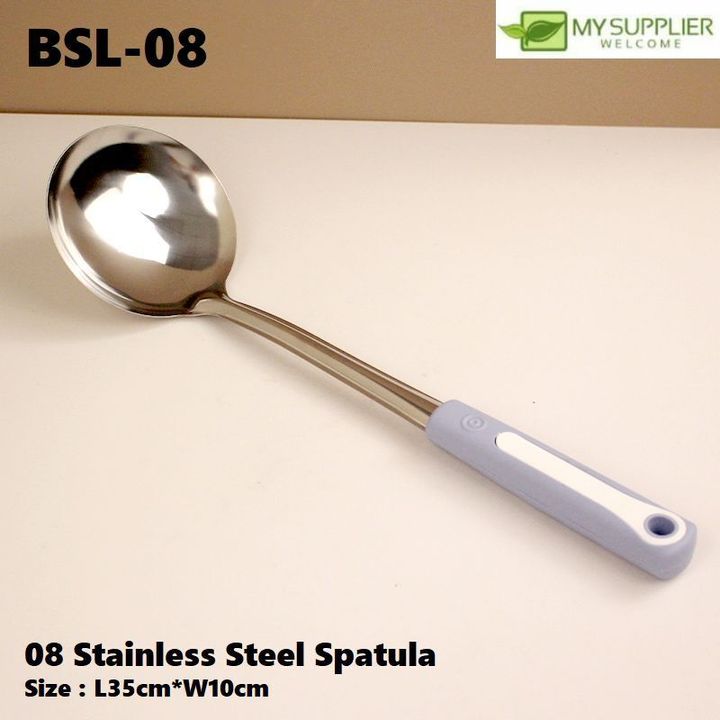 bsl-08