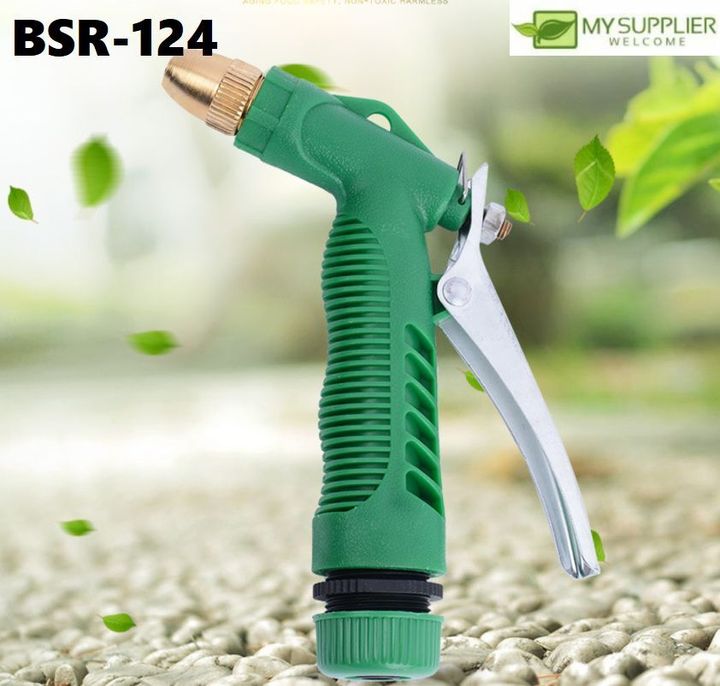 bsr-124