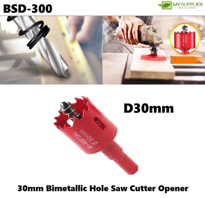 bsd-300