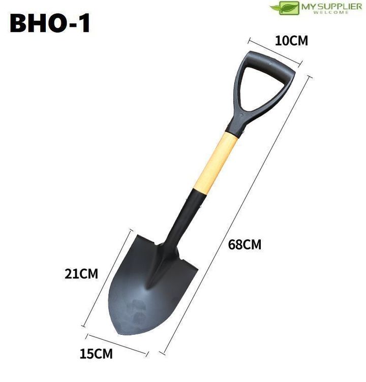 bho-1