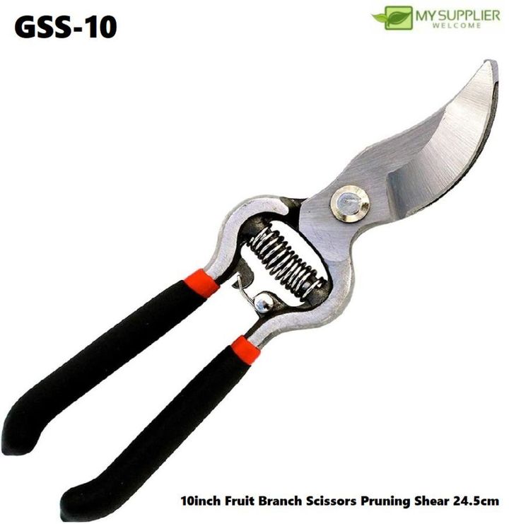 gss-10
