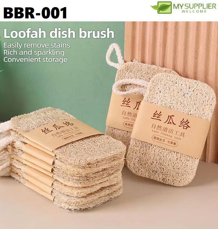 bbr-001