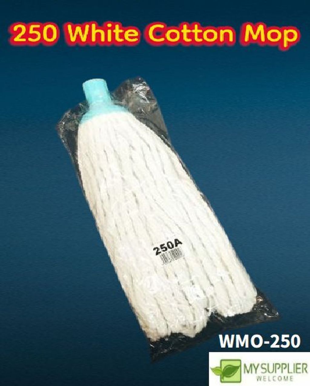 wmo-250