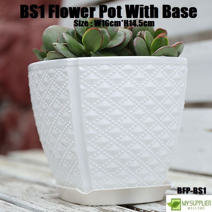 bfp-bs1