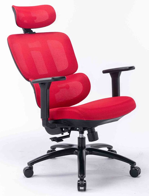 Ghế công thái học trẻ trung