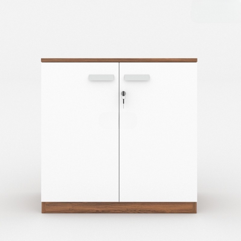tu-tai-lieu-classic-cl80-01t-sp3