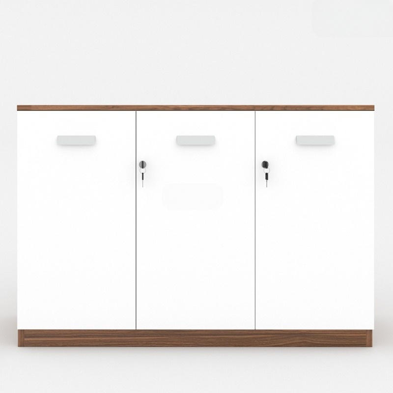 tu-tai-lieu-classic-cl80-04t-sp3