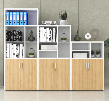 tủ tài liệ CL200-240