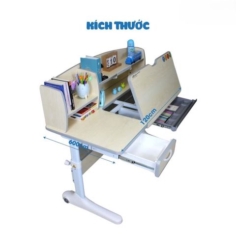 SD08-ct5