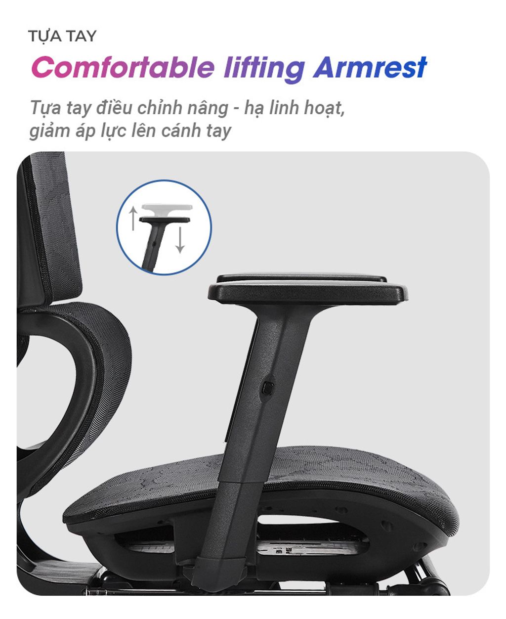 Plato-PL03-Pro-footrest-chi-tiet-ct8