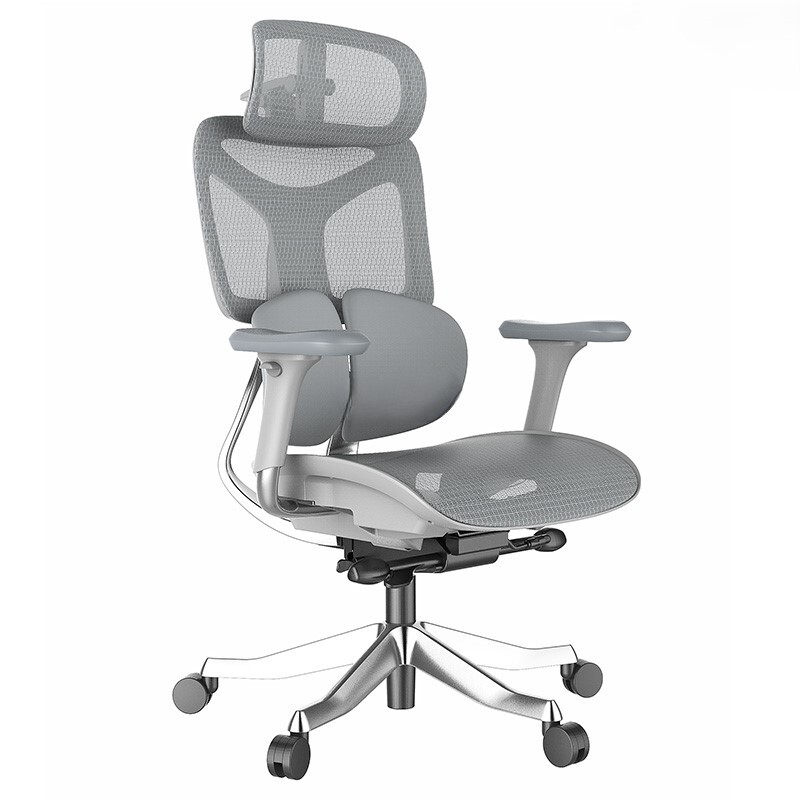 Hornet-Grey-ct1