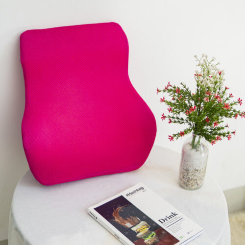 ghe-luoi-dream-beanbag-tua-lung-xe-hoi-memory-form-5-500x500