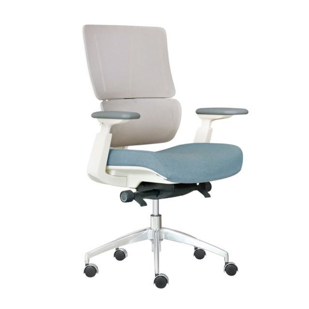 ghe-xoay-van-phong-lung-luoi-aston02-1