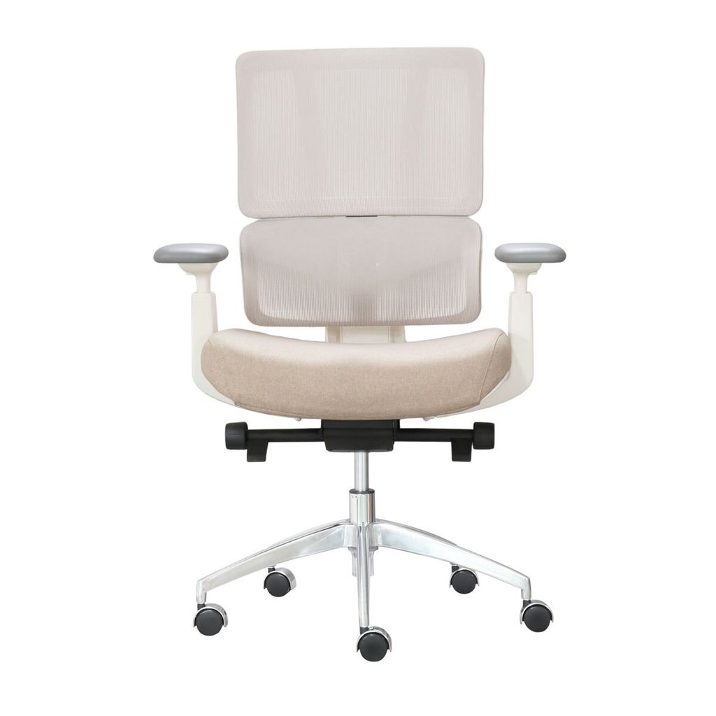 ghe-xoay-van-phong-lung-luoi-aston02-9