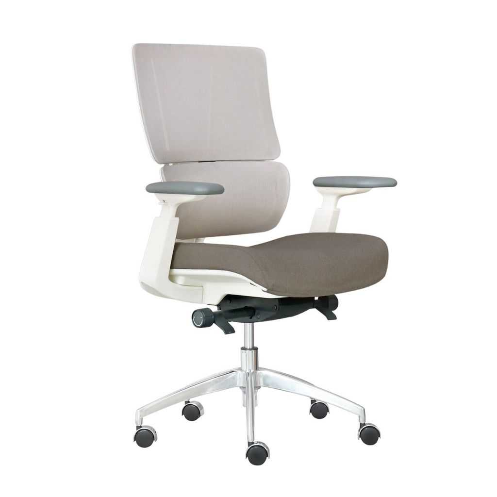 ghe-xoay-van-phong-lung-luoi-aston02-2