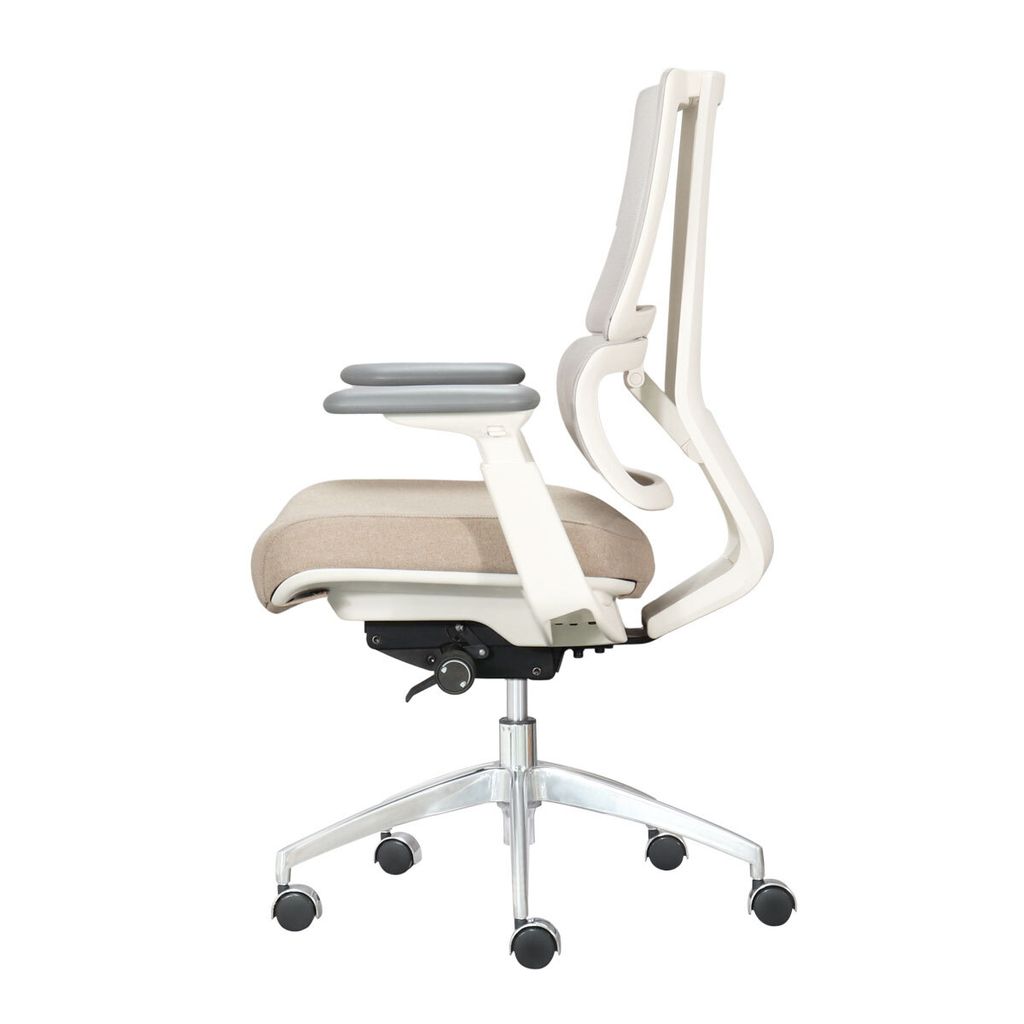 ghe-xoay-van-phong-lung-luoi-aston02-8