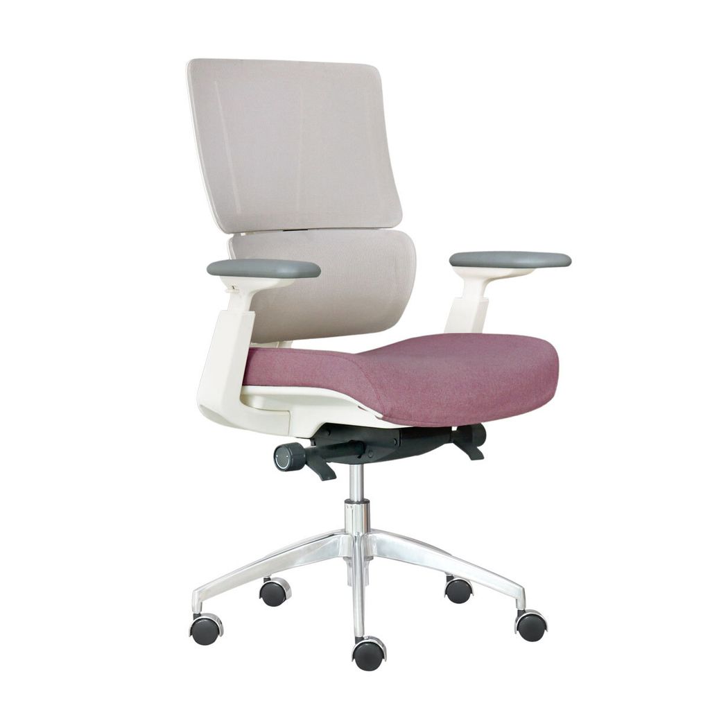 ghe-xoay-van-phong-lung-luoi-aston02-3