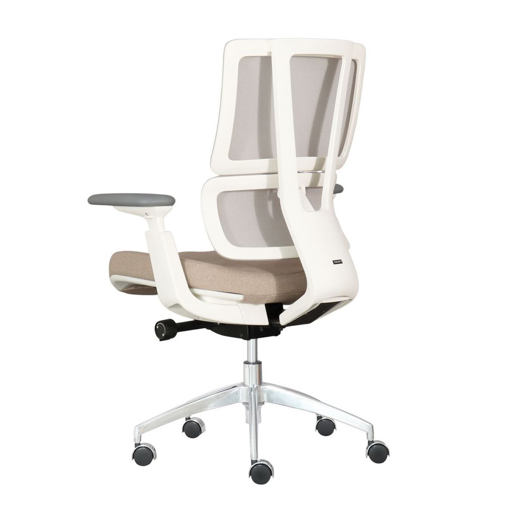 ghe-xoay-van-phong-lung-luoi-aston02-7