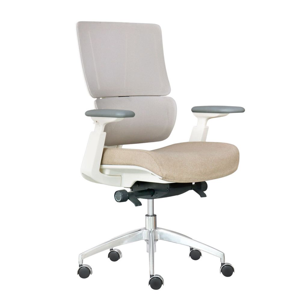 ghe-xoay-van-phong-lung-luoi-aston02-4