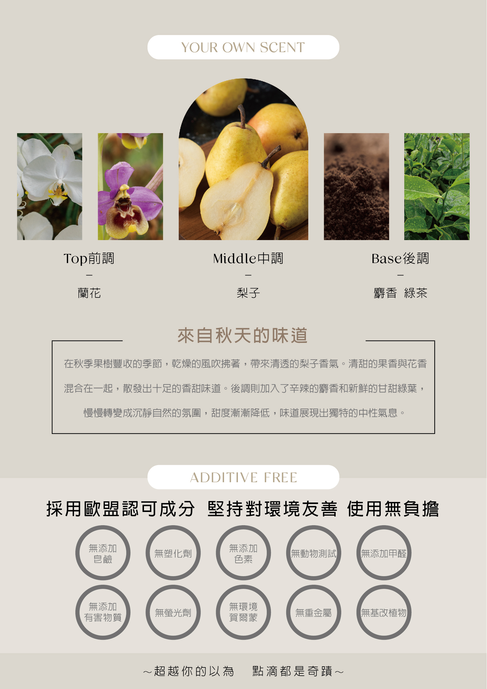 角蛋白4
