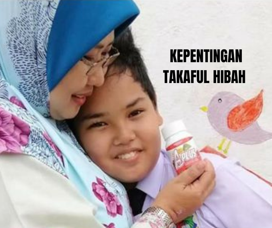 1. SEBAGAI PENGGANTI GAJI (INCOME REPLACEMENT) | Takaful Hibah PRUBSN by DRMZ