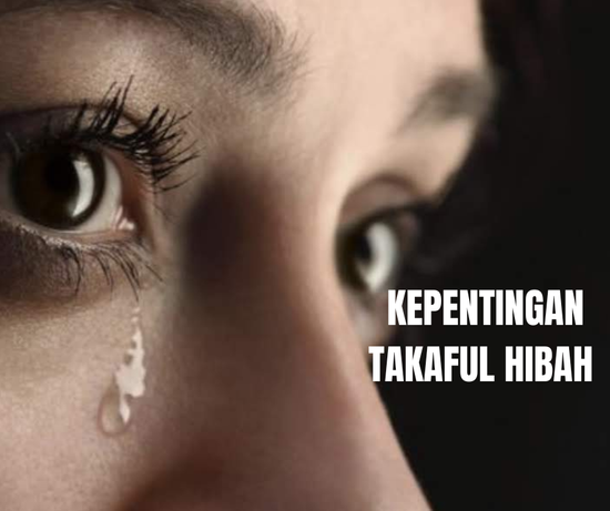 2. SEBAGAI 1 KAEDAH UNTUK ANDA TINGGALKAN HARTA WALAUPUN ANDA TIDAK BERHARTA | Takaful Hibah PRUBSN by DRMZ