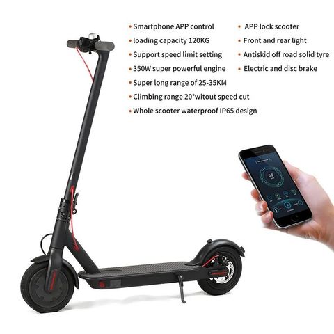 FB_IMG_1651060755339