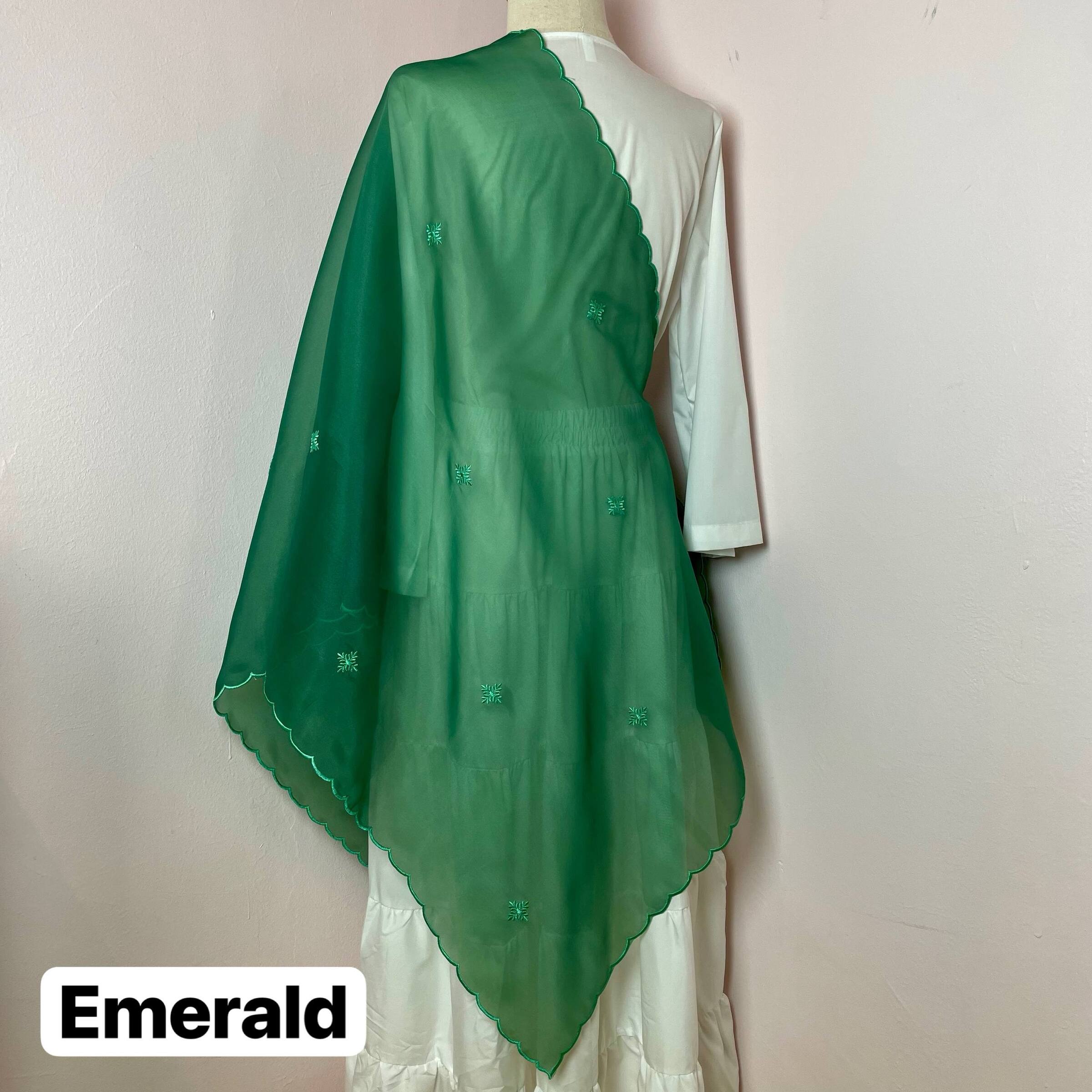 photo_4_2026-03-26_14-29-04