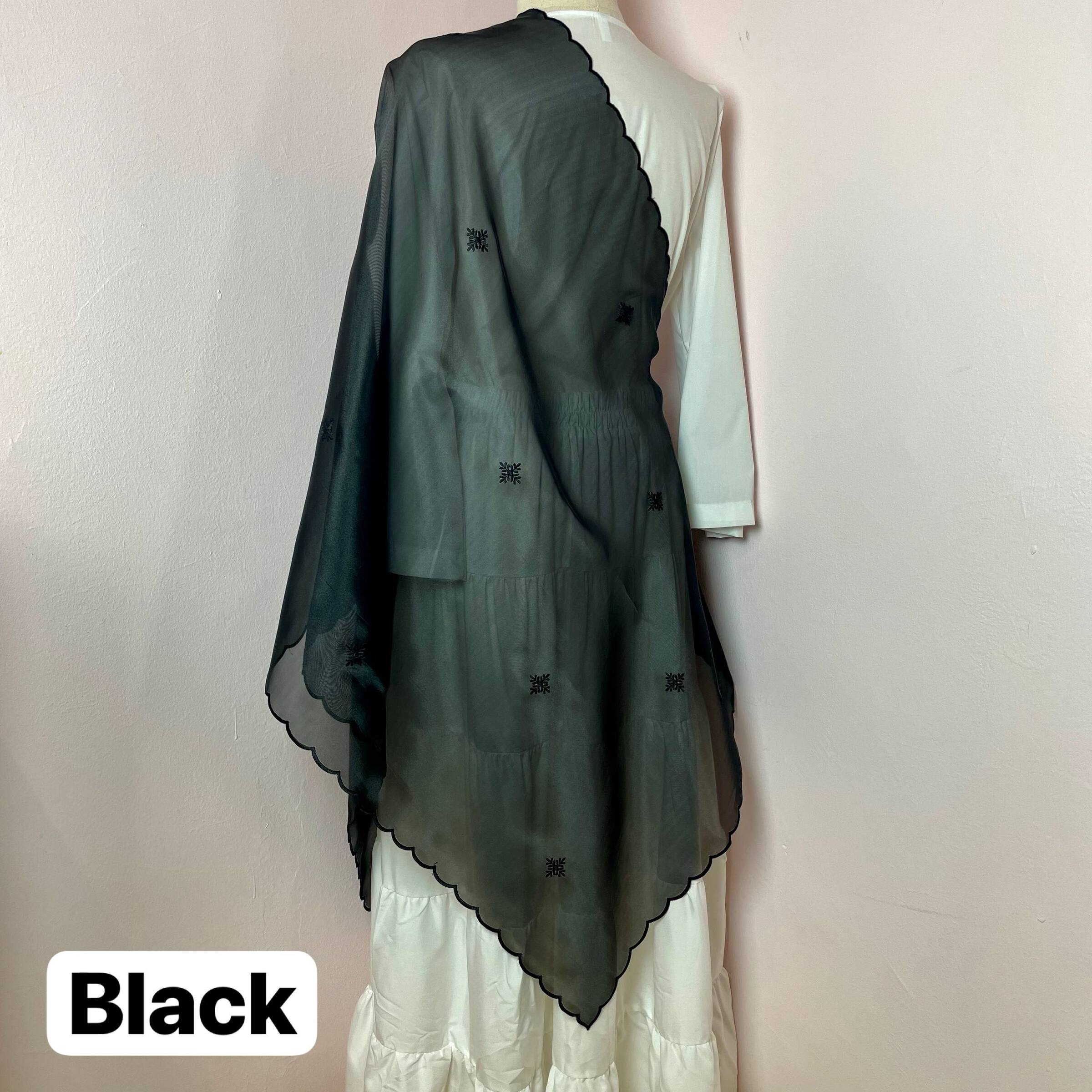 photo_1_2026-03-26_14-29-04