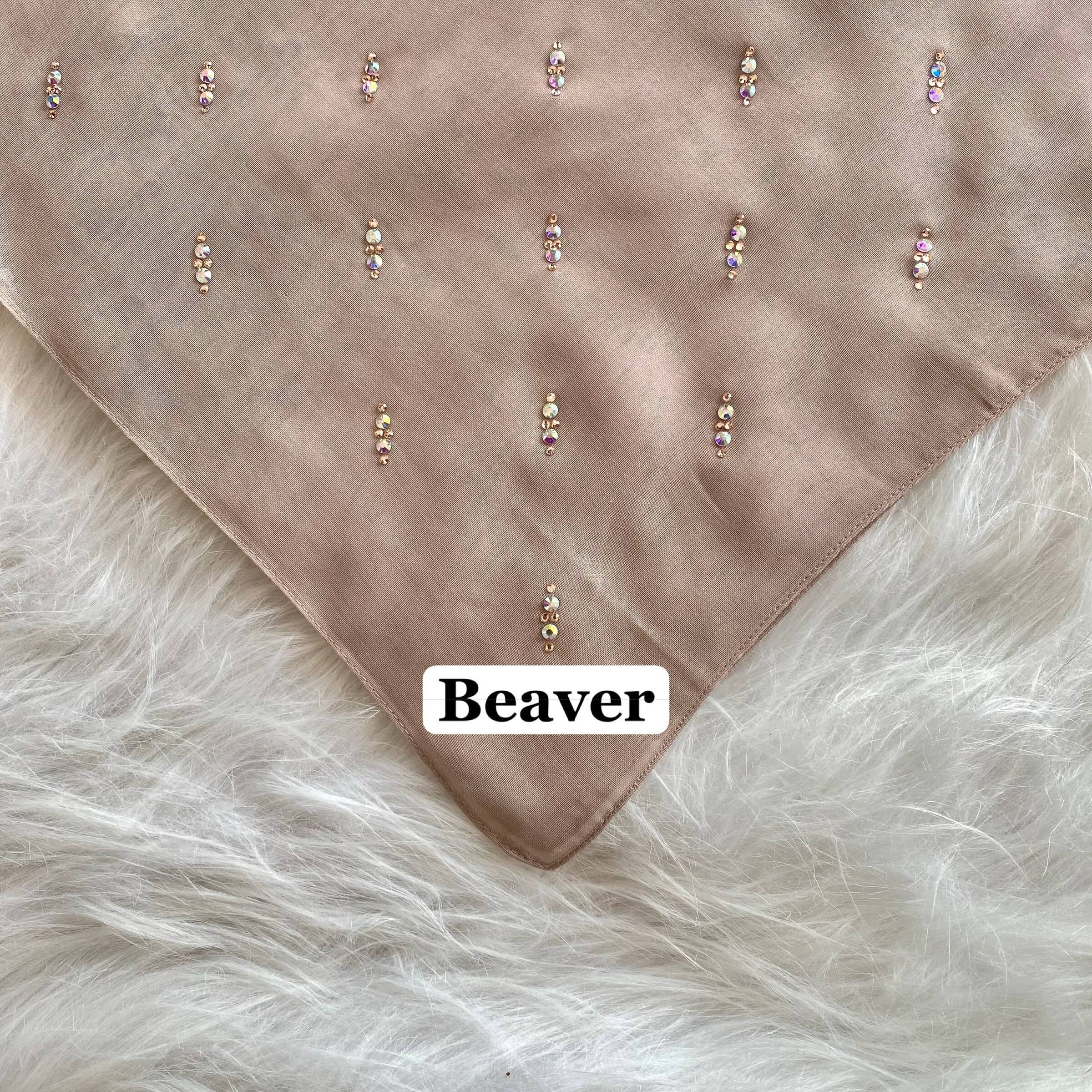 photo_2026-01-06_17-20-59