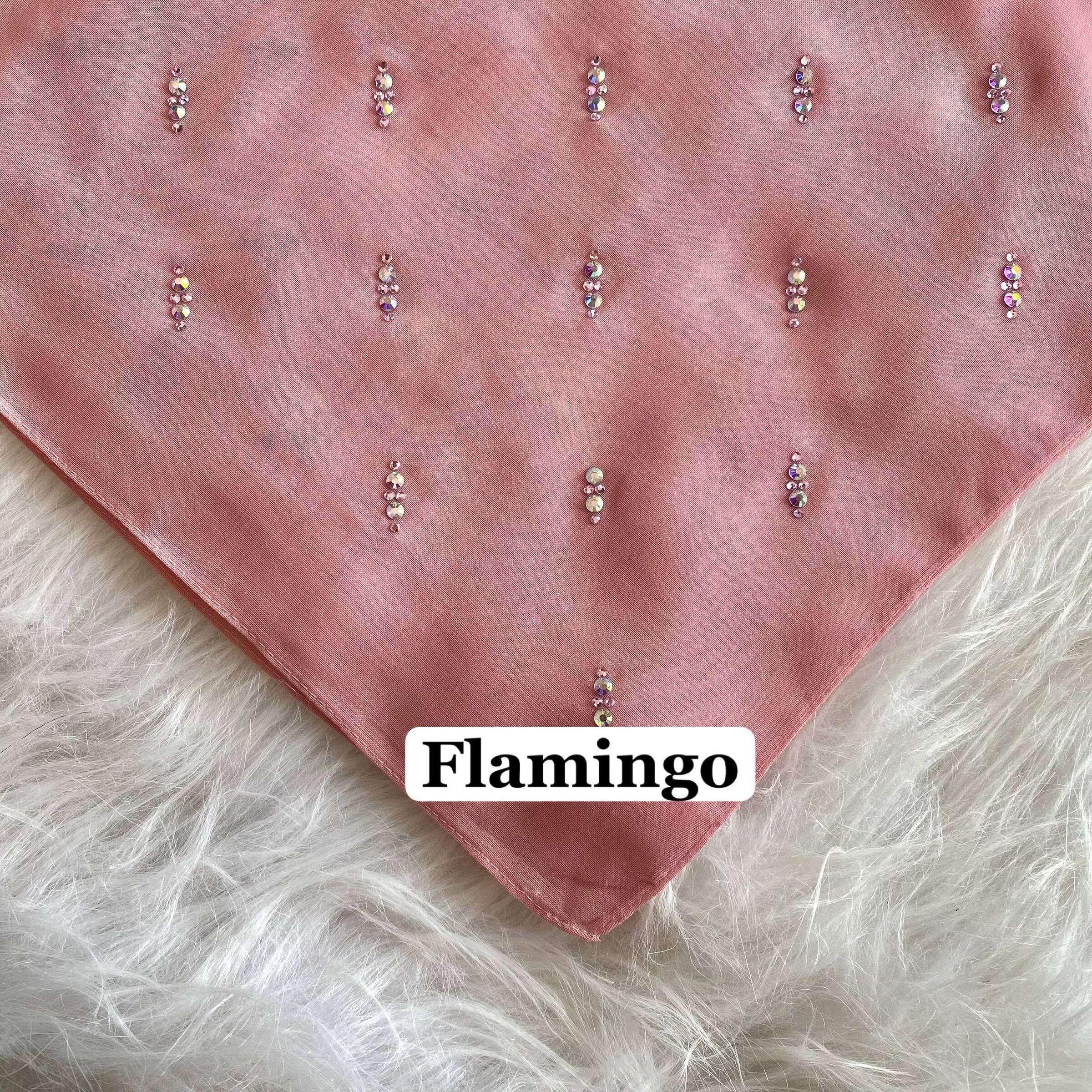 photo_2026-01-06_17-20-34