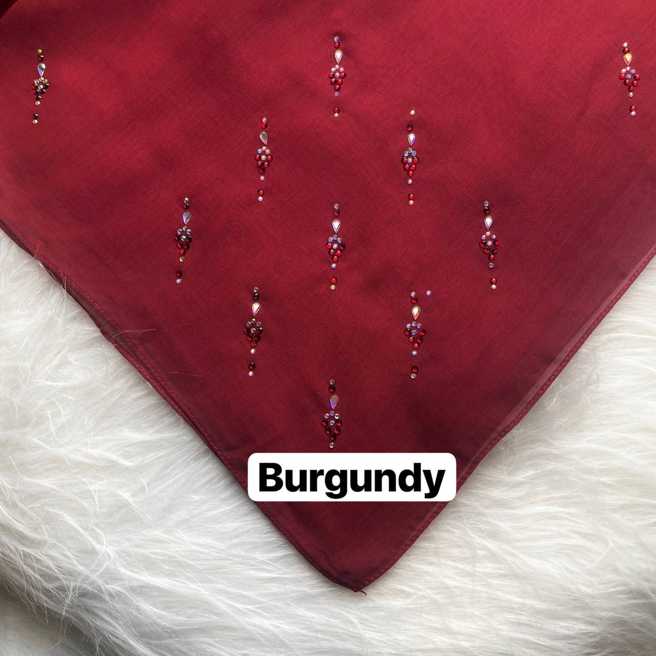 IMG_20260107_152412_625