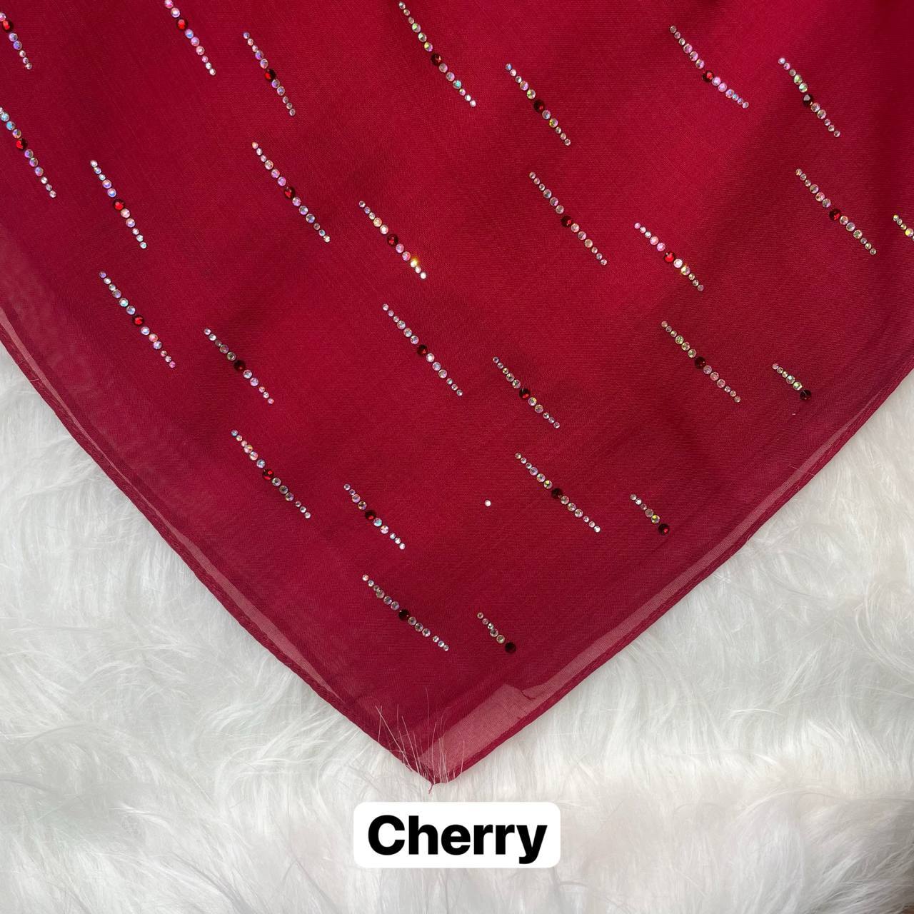 photo_2026-01-17_18-39-37