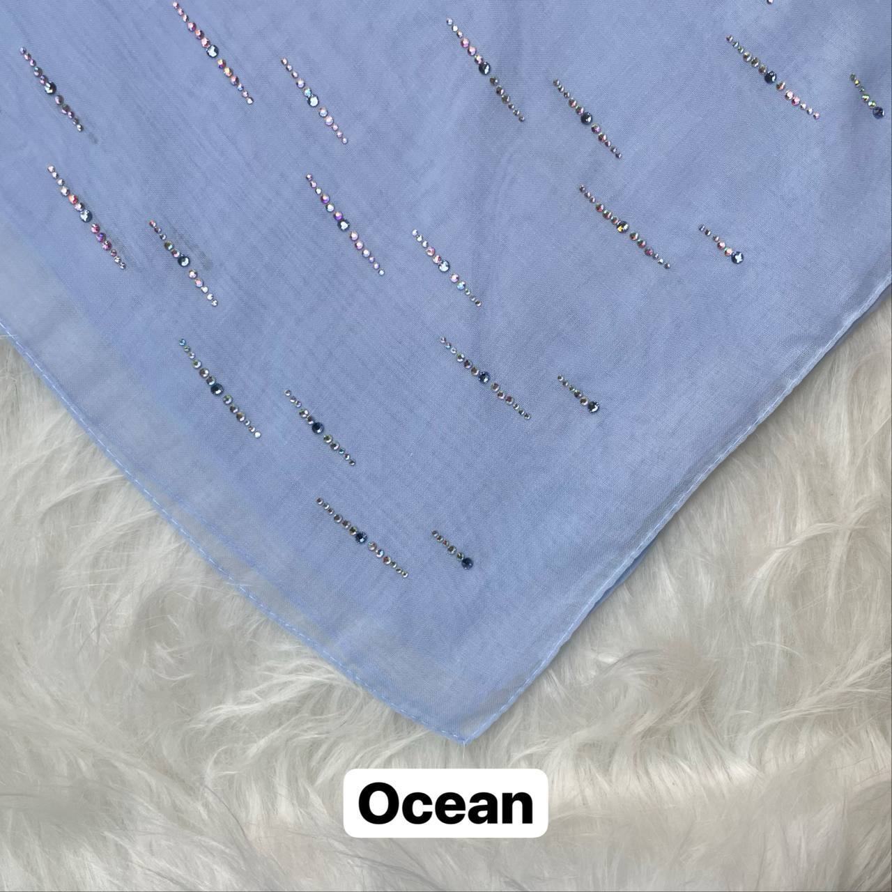 photo_2026-01-17_18-39-50