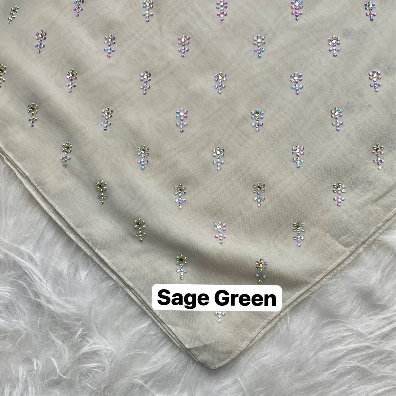 photo_2026-01-19_12-48-16