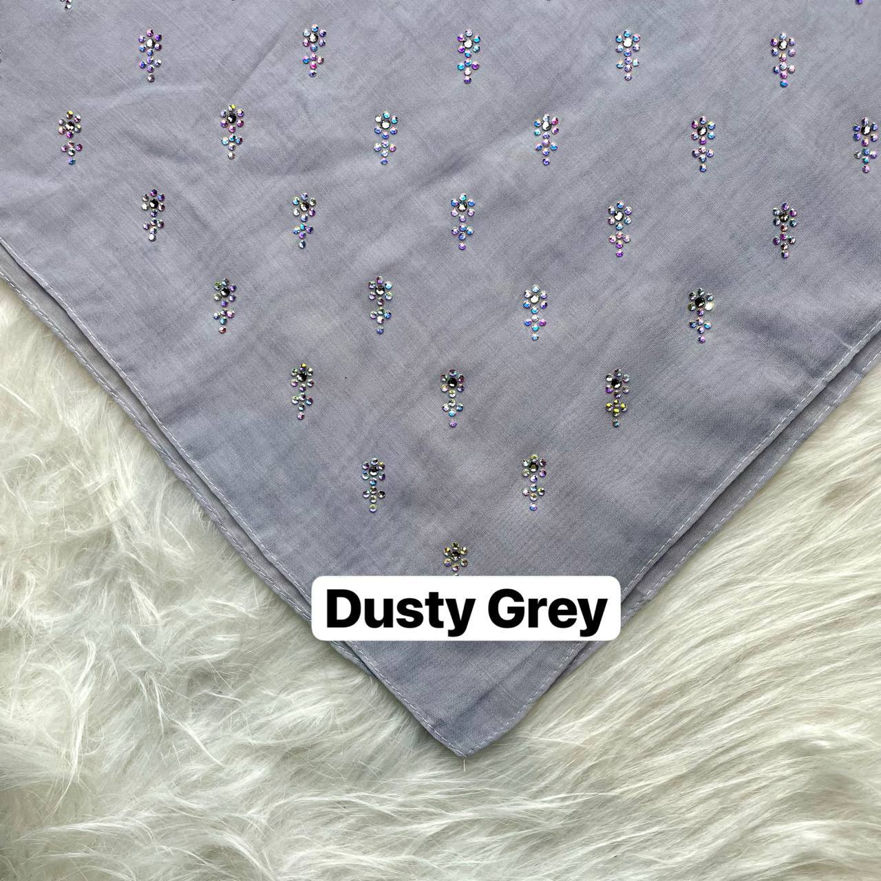 photo_2026-01-19_12-48-31