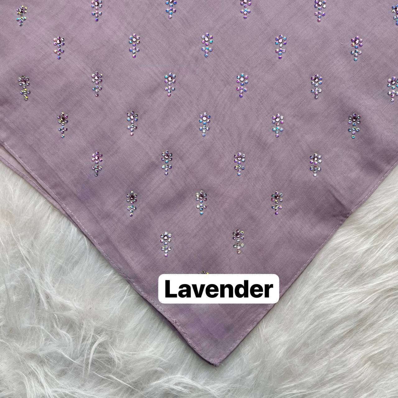 photo_2026-01-19_12-48-20