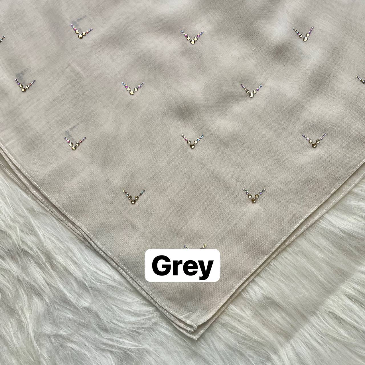 photo_2026-01-19_13-03-17