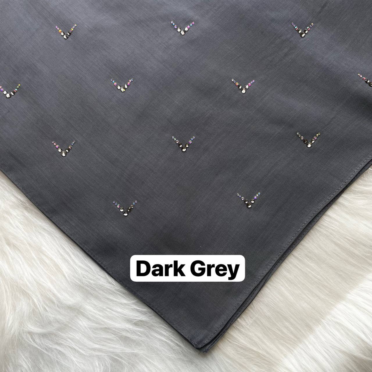 photo_2026-01-19_13-03-18