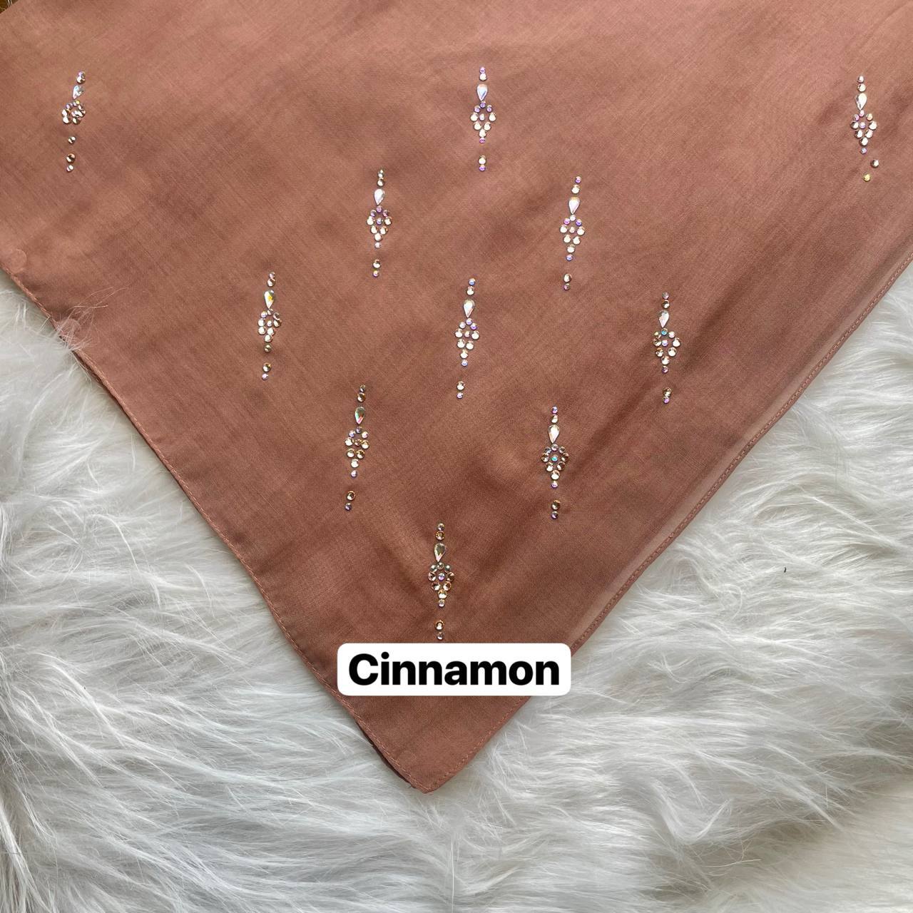 photo_2026-01-19_14-08-36 (2)